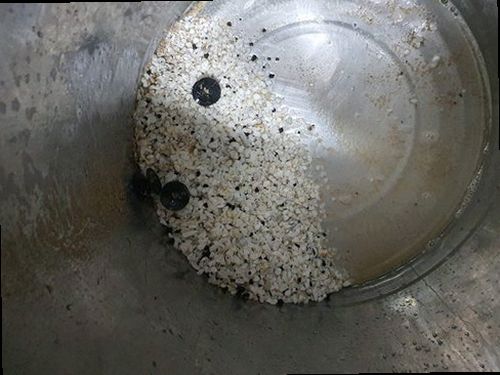 서울 중구 남대문로2가 하수구막힘 배수 지연과 역류 흔적을 확인하는 현장 점검 모습